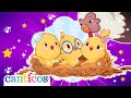 Duérmete Pollito Canciones Infantiles Para Dormir Sweet Lullaby For Bedtime Canticosworld