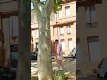 Mym Fans Labouisse31
