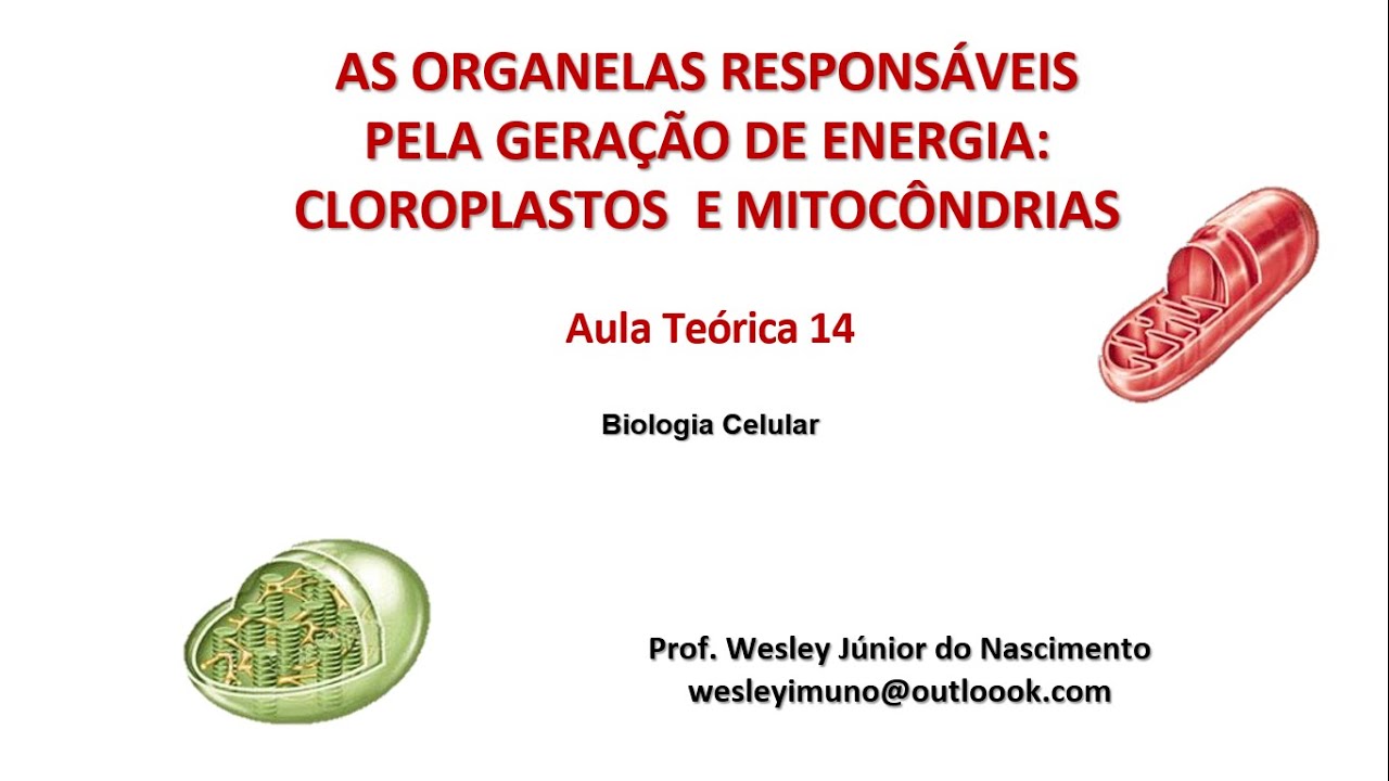 Biologia Celular - Ensino Superior- Aula 15: Mitocôndrias e Cloroplastos