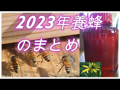 経済学科 晴蜂雨読⑲／2023年養蜂のまとめ／山崎亮一／東京農工大学名誉教授／字幕付き／2023 Beekeeping Summary／Eng sub