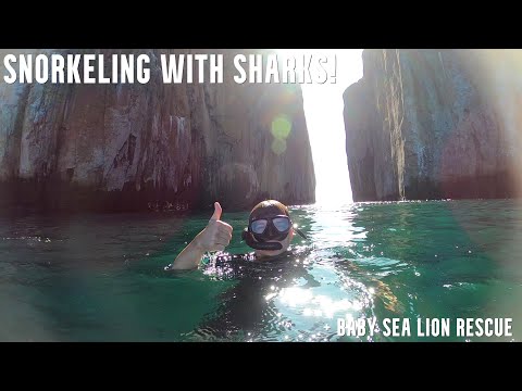 360° Tour of San Cristobal! | Galapagos Land Based