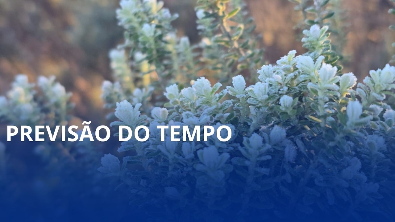 Onda de frio traz a primeira neve do ano em SC