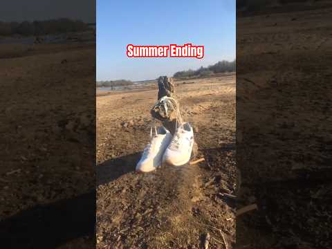 Beach 🏝 #summerbreak #travel #alizasehar