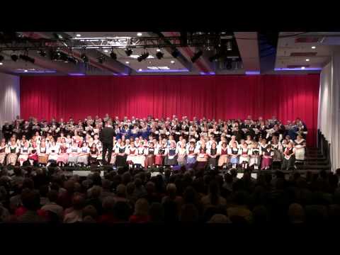 In die blühende Welt by Hermann Sonnet