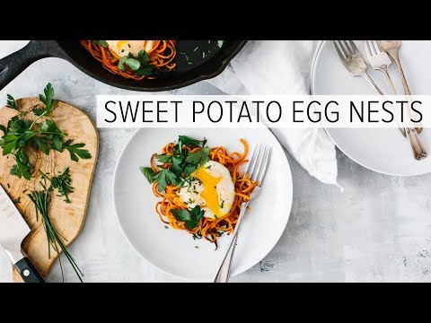 AMAZING PALEO CHOCOLATE CAKE gluten free grain free dairy free