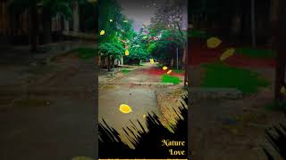 Dil Tujhpe Aa Gaya /💖 Nature Love 💖/ Whatsap