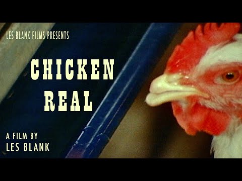 Chicken Real