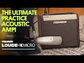 Fishman Loudbox Micro Acoustic Amp thumbnail 6