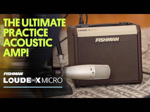 Fishman Loudbox Micro - 40W Acoustic Guitar Amplifier image 7