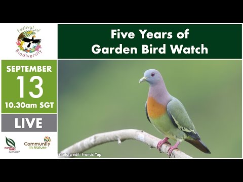 NParks Spotlight: Five Years Of Garden Bird Watch (Festival of Biodiversity Edition)