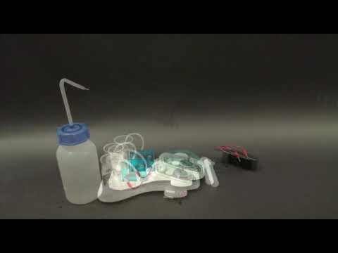 Nw Projekt 2019 Das Brennstoffzellenauto