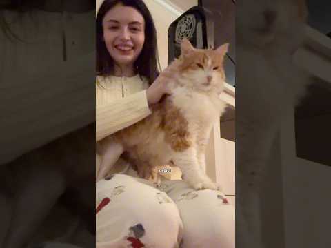 Sarman kedimiz hastaneden çıkıyor Part3🐈🥹 #meryemcan