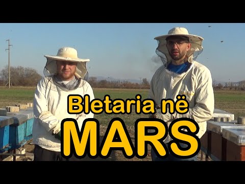 MARSI: Çfarë duhet të bëjë Bletari ? ( Kalendari i Bletarit )