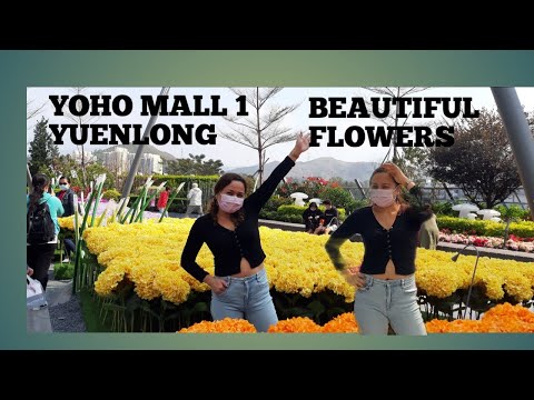 BEAUTIFUL FLOWERS AT YUENLONG | leonora leonor