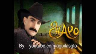 El Chapo de Sinaloa - Tengo Celos