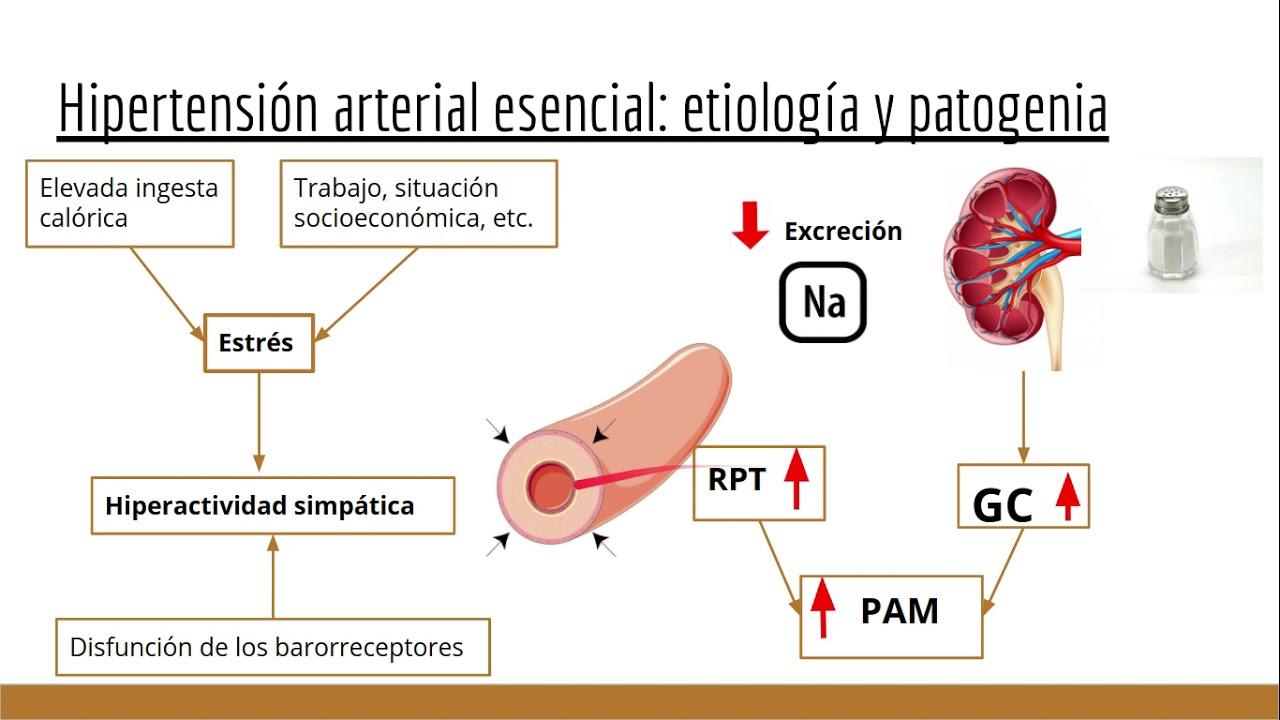 Hipertensión arterial: fisiopatología y complcaciones