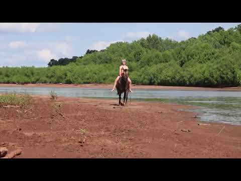 youtube preview