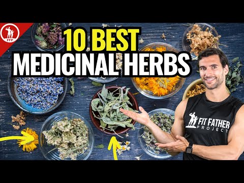 download lagu mp3 mp4 Combining Herbs And Spices, download lagu Combining Herbs And Spices gratis, unduh video klip Combining Herbs And Spices