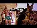 What if dogs eat everything a bodybuilder eats? See what we eat for breakfast #dog #pet