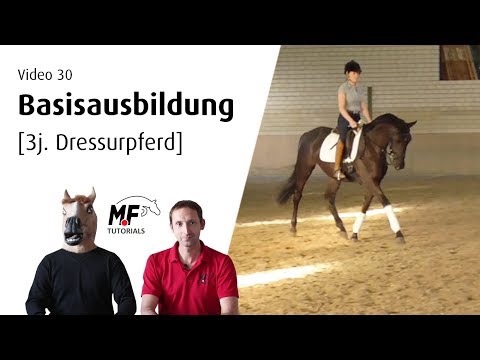 [30]  3j. Dressurpferd "Resi" | Die ersten Ausbildungsschritte | Basisarbeit mit jungen Pferden