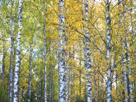 Sibelius - Karelia Suite