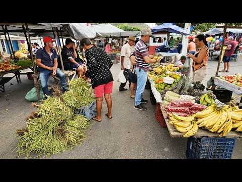 FEIJÃO, MILHO VERDE E CARNE DE R$ 22  EM PANELAS PE
