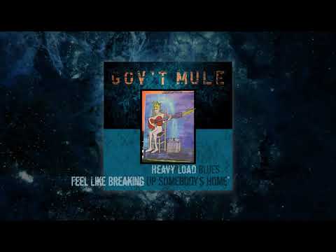 Gov't Mule - Feel Like Breaking Up Somebody's Home (Visualizer Video)