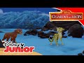La Guardia Del León Manada Nocturna Disney Junior Oficial