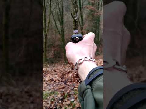 Test der Piexon JPX Jet Protector Pfefferpistole