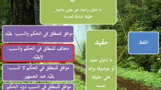 الطريق إلى علم أصول الفقه19 - المطلق والمقيد - عامر بهجت image