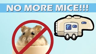 Mouse Proof Your RV - We could not believe where they were getting in