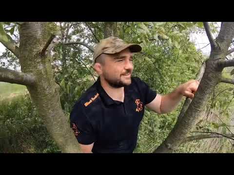 Jak podejść dzikie karpie „Stara glinianka” część II