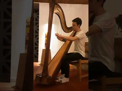 A. Hasselmans: La Source op. 44 // Basel International Online Harp Competition 2023