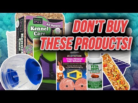 YouTube video about: Are salt wheels good for guinea pigs?