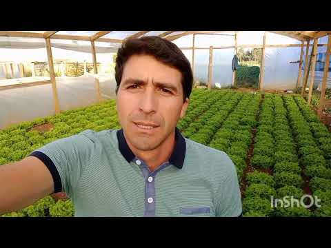 tips para la construccion de un invernadero "porque tu lo pediste "