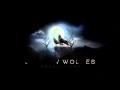 Logo animation Shadow Wolves Productions | Ritika Singh |