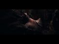 TRAILER Carnivale By De Machienerie