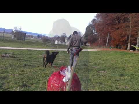 Ritter bei der Arbeit, Bogentraining, Archery