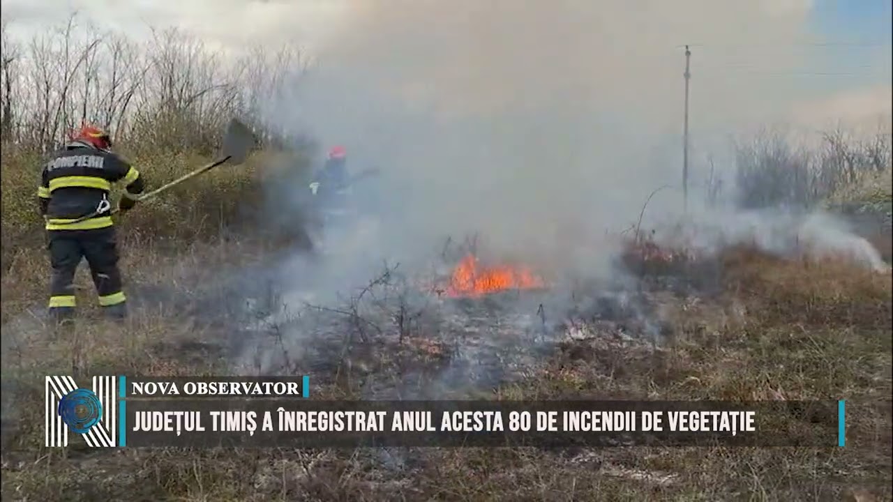 Județul Timiș a înregistrat anul acesta 80 de incendii de vegetație