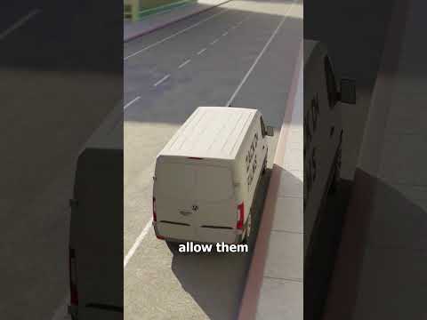 The CIA Built A Dragonfly Spy 😮