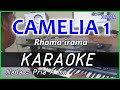 CAMELIA 1 Rhoma Irama KARAOKE DANGDUT COVER Pa800