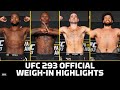 UFC 293 Official Weigh-In Highlights - MMA Fighting