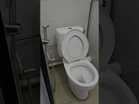 172 Rangoon Road, Rangoon Road, Farrer Park / Serangoon Rd, Studio, 251 sqft, Terraced House For Rent, by Quincy Sung, 500001122 - PropertyGuru.com.sg