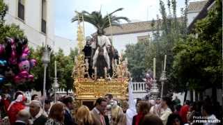 preview picture of video 'Domingo de Ramos 2013. Cristo de la Salud. (El Viso del Alcor)'