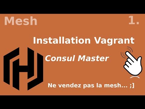 MESH 1 Installation du master de la registry consul