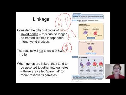 Genetics BIOL 2416 Chapter 5 Part 1 Recording