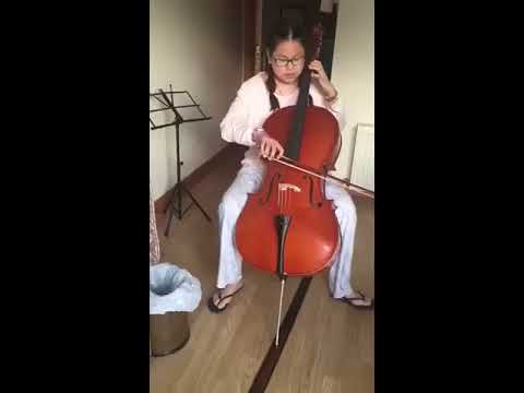 Muzikkon Cello