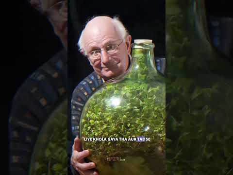 60 years old sealed plant #science #sciencefacts