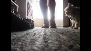 Stereo Skyline- Chemistry stop motion lyric video