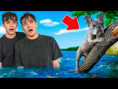 Our Dog Almost Drowned in a MASSIVE FLOOD!